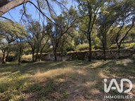 Vente Terrain à bâtir 4 392 m&sup2; — photo 4