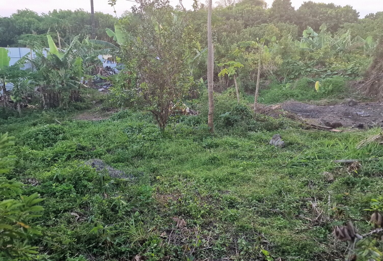 Vente Terrain à bâtir 642 m&sup2; — photo 1