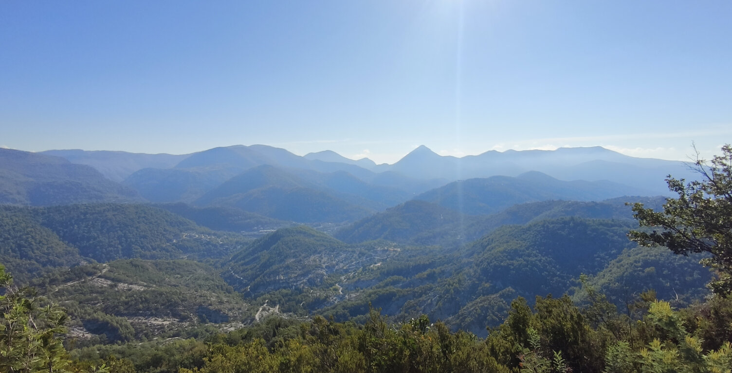 BERRE LES ALPES - Terrain à Batir de 2795m2 — photo 1