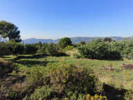 BERRE LES ALPES - Terrain à Batir de 2795m2 — photo 2