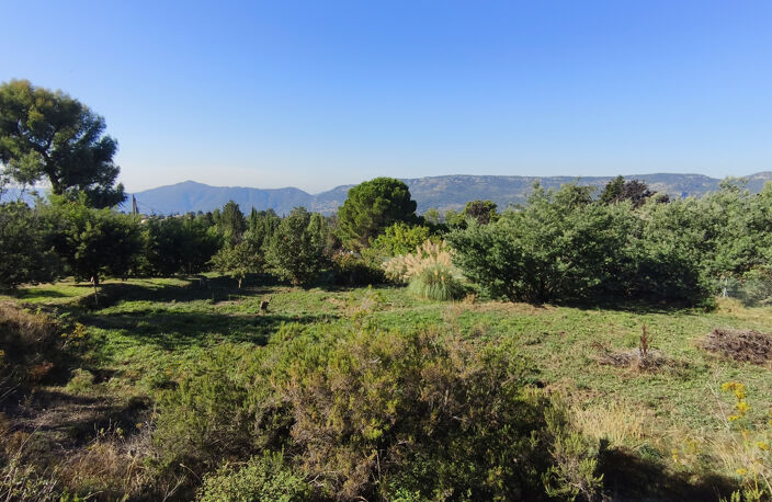 BERRE LES ALPES - Terrain à Batir de 2795m2 — photo 2