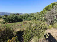 BERRE LES ALPES - Terrain à Batir de 2795m2 — photo 3