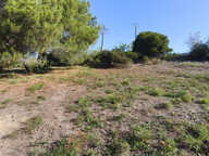 BERRE LES ALPES - Terrain à Batir de 2795m2 — photo 4