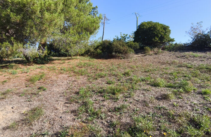 BERRE LES ALPES - Terrain à Batir de 2795m2 — photo 4