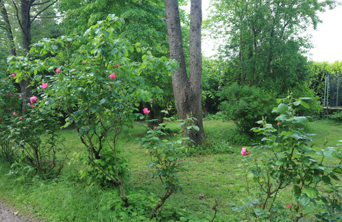 MAGNIFIQUE TERRAIN CONSTRUCTIBLE, DANS PROPRIETE D'EXCEPTIO — photo 5