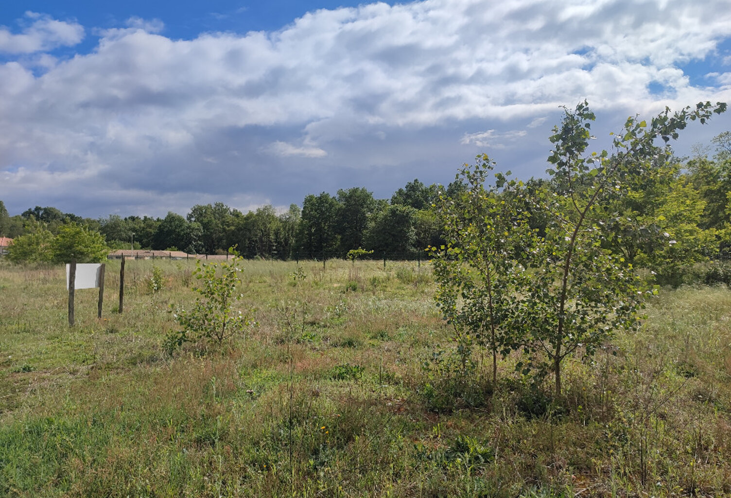 Terrain à bâtir à Izon (33450) — photo 1