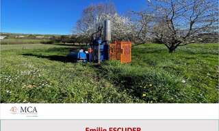 Photo N° 2