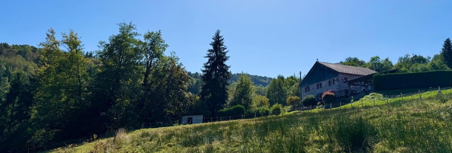 Maison 5 Pièces 209 m² à vendre à La Bresse (88250)