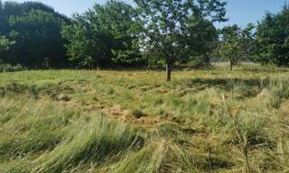 Terrain  533 m² à vendre à Saint-Pardon-de-Conques (33210)