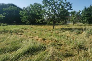 Terrain  50000 €