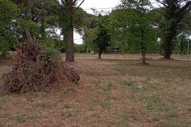 Terrain  65000 €