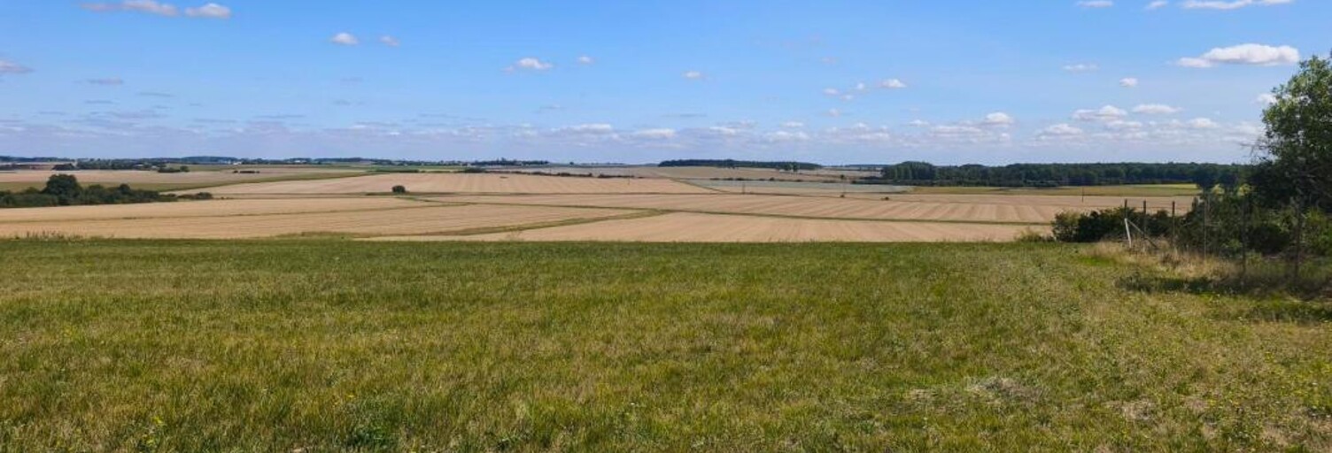 Terrain  1771 m² à vendre à Huisseau-en-Beauce (41310)