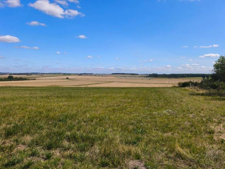 Terrain à vendre de 1 771,00 m² HUISSEAU EN BEAUCE (41) — photo 1