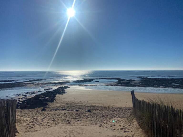 LA TRANCHE SUR MER 85360 - LA GRIERE - VILLA PLAIN PIED DE 2026 GRAND CONFORT AVEC GARAGE ET JARDIN CLOS — photo 1
