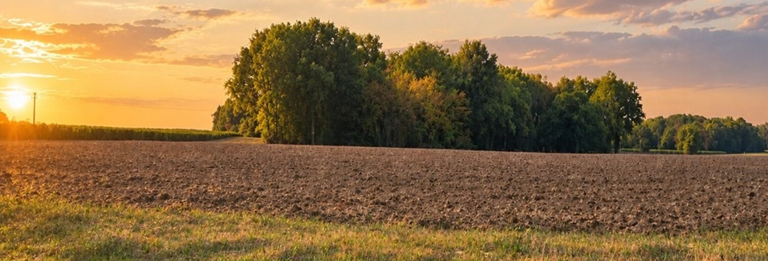 Terrain  2530 m² à vendre à Saint-Savin (33920)
