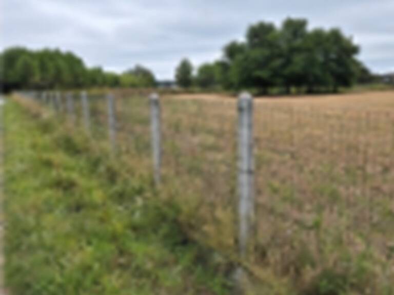 Terrain à bâtir à Cézac (33620) — photo 1