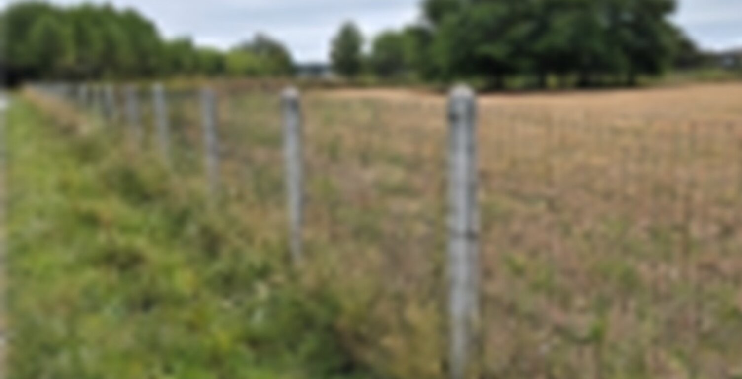 Terrain à bâtir à Cézac (33620) — photo 1
