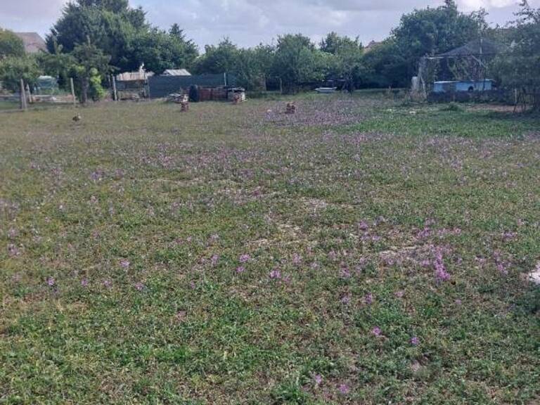 Terrain à vendre de 1 200,00 m² AULNAY (17) — photo 1