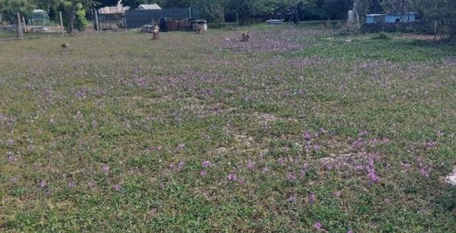 Terrain à vendre de 1 200,00 m² AULNAY (17) — photo 1