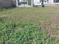 Terrain à vendre de 1 200,00 m² AULNAY (17) — photo 2