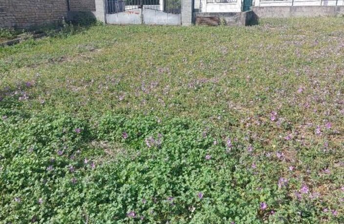 Terrain à vendre de 1 200,00 m² AULNAY (17) — photo 2