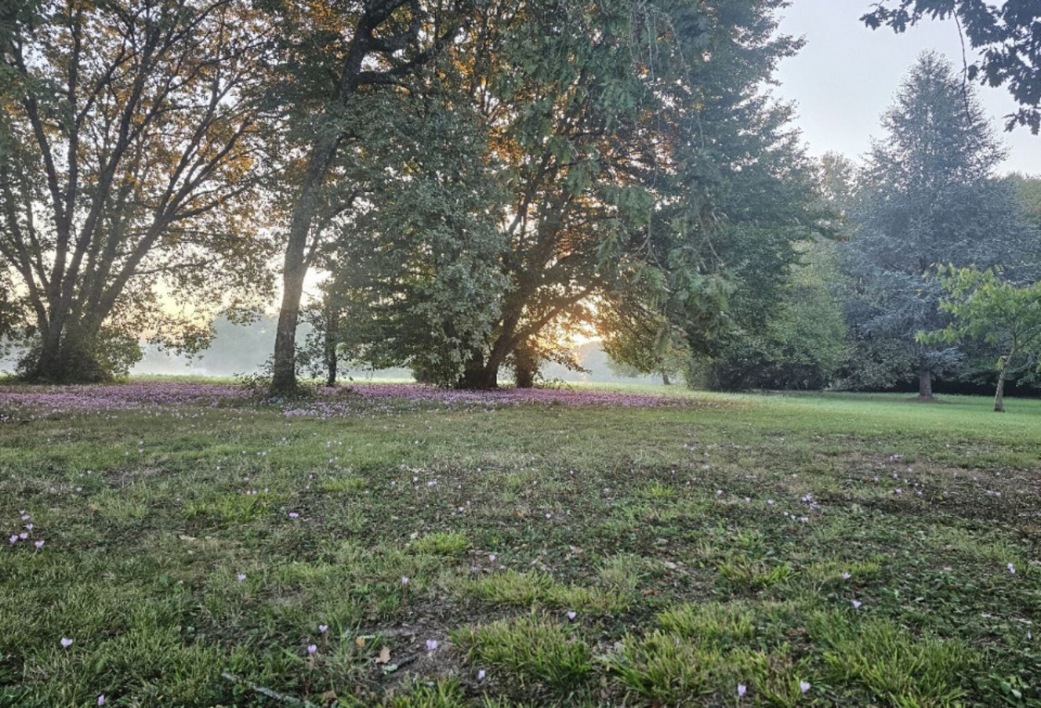 Terrain à bâtir à Baurech (33880) — photo 1