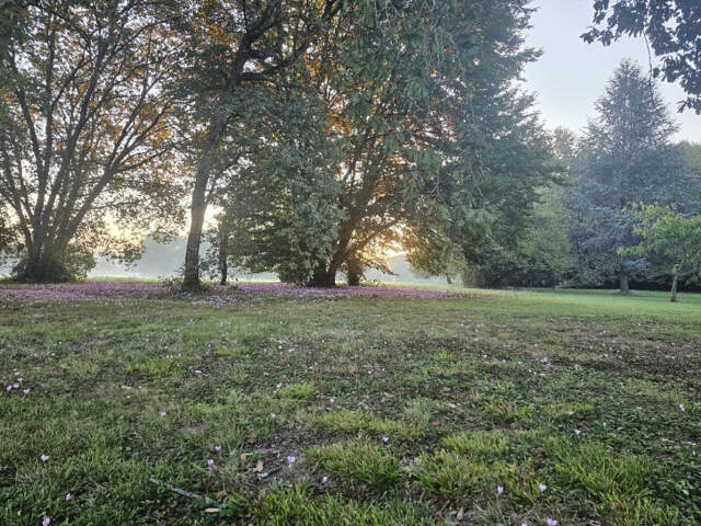 Terrain à bâtir à Baurech (33880) — photo du bien