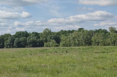 Terrain  101500 €