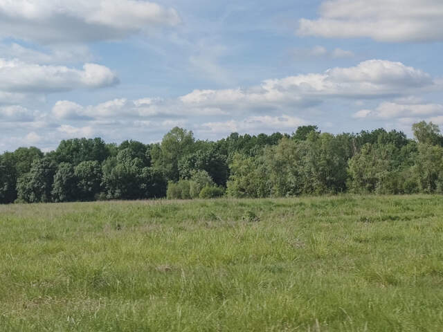 Terrain à bâtir à Le Pout (33670) — photo du bien