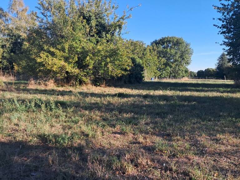 Terrain à bâtir à Ozillac (17500) — photo 1
