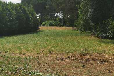 Terrain  67000 €