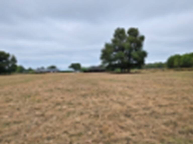 Terrain à bâtir à Cézac (33620) — photo 1