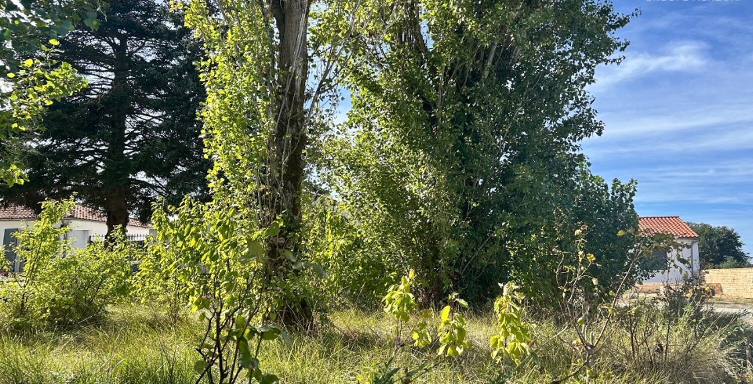 Terrain à bâtir à Dompierre-sur-Mer (17139) — photo 1