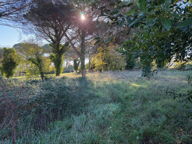 Terrain à bâtir à Saint-Maixant (33490) — photo 1