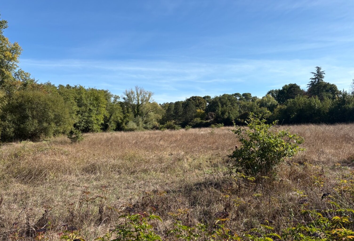 Terrain à bâtir à Léognan (33850) — photo 1