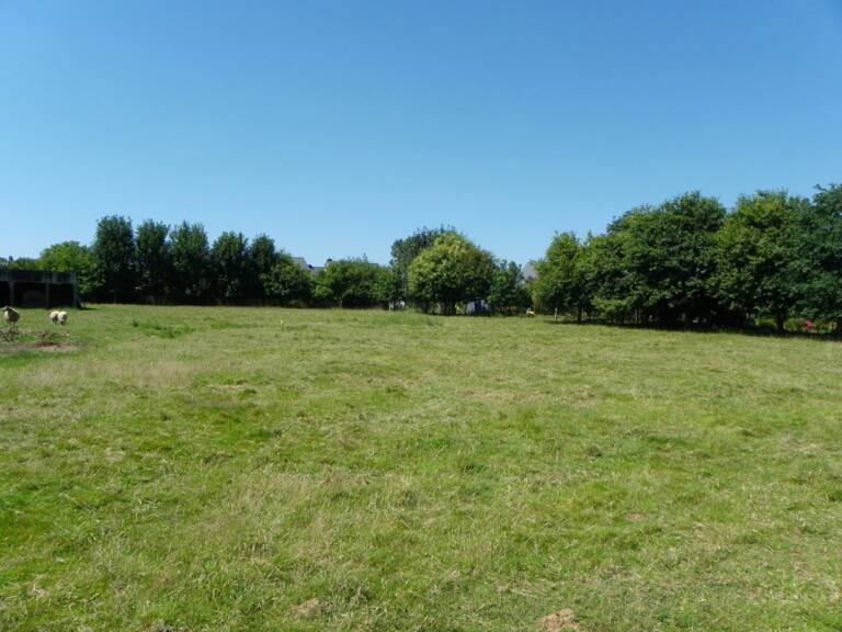 Terrain à bâtir à Belin-Béliet (33830) — photo 1