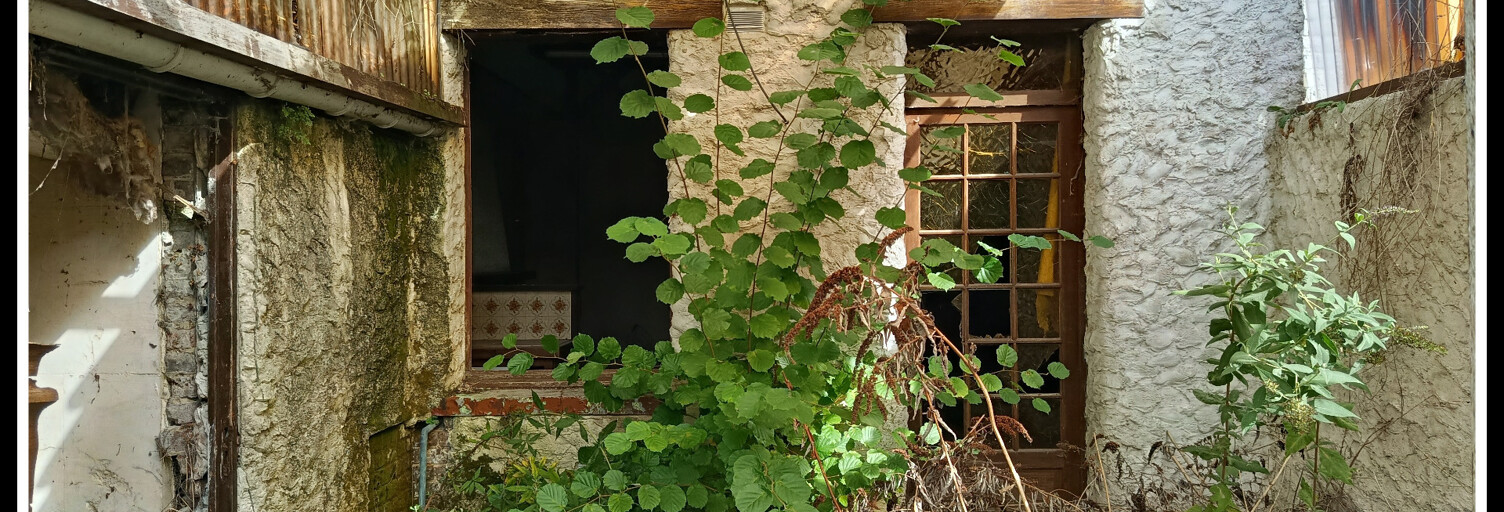 Maison 2 Pièces 50 m² à vendre à Saint-Amand-les-Eaux (59230)