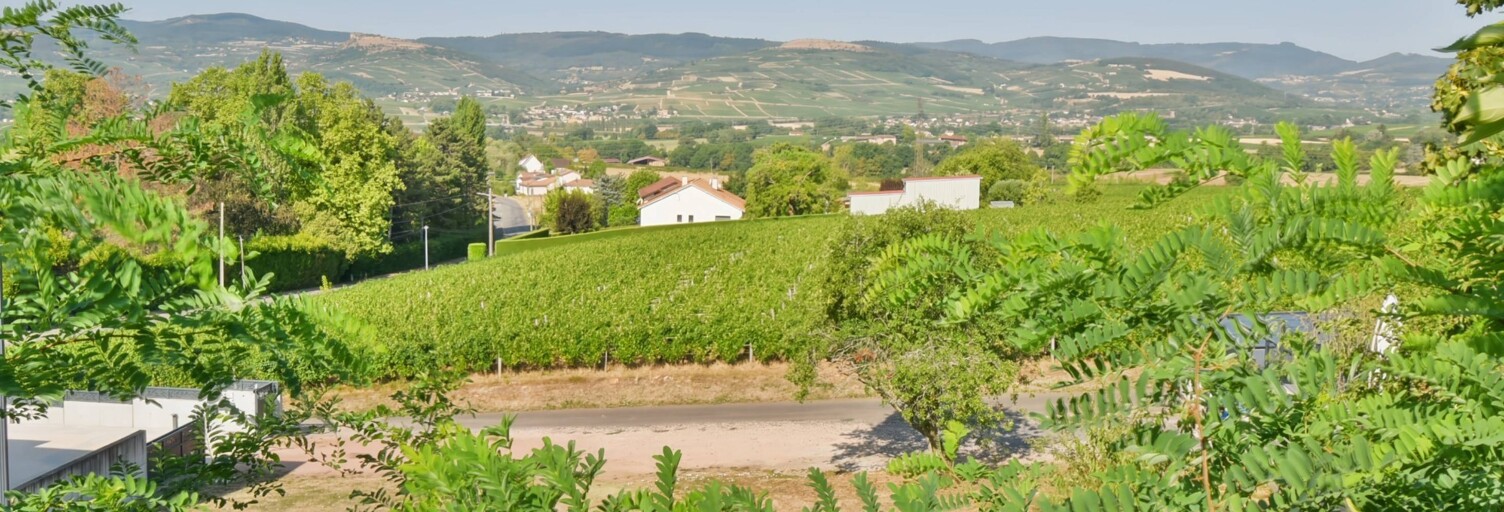 Maison 9 Pièces 500 m² à vendre à Charnay-lès-Mâcon (71850)