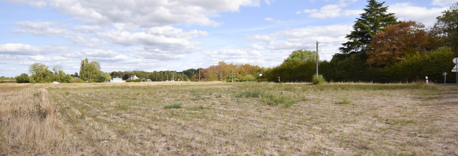 Terrain  1088 m² à vendre à Sassay (41700)