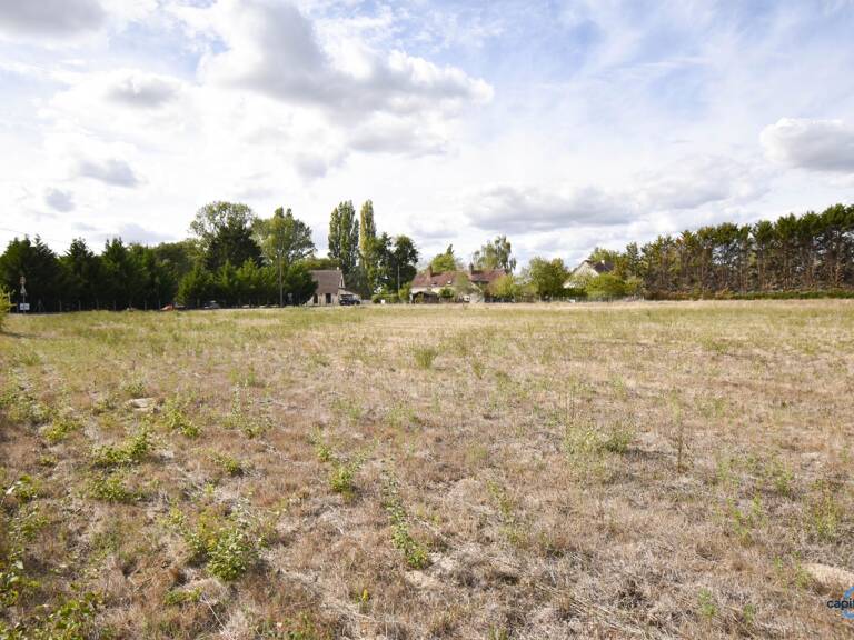 Terrain à vendre de 1 267,00 m² SASSAY (41) — photo 1