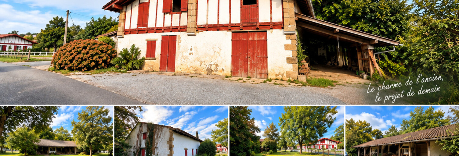 Photo N° 2