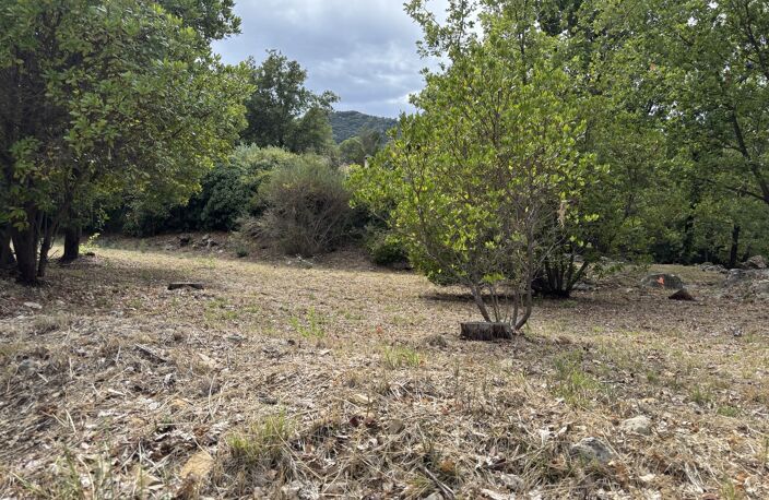 Vente terrain à construire 1000 m² La Celle (83170) — photo 3
