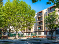 Type 4 - CARPENTRAS - LOU POUS DU PLAN — photo 3
