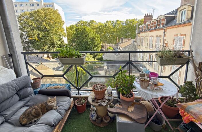 ☀️ CHARMANT T2 AVEC BALCON PLEIN SUD & PARKING — HYPER-CENTRE D'ORLÉANS  ️ — photo 2