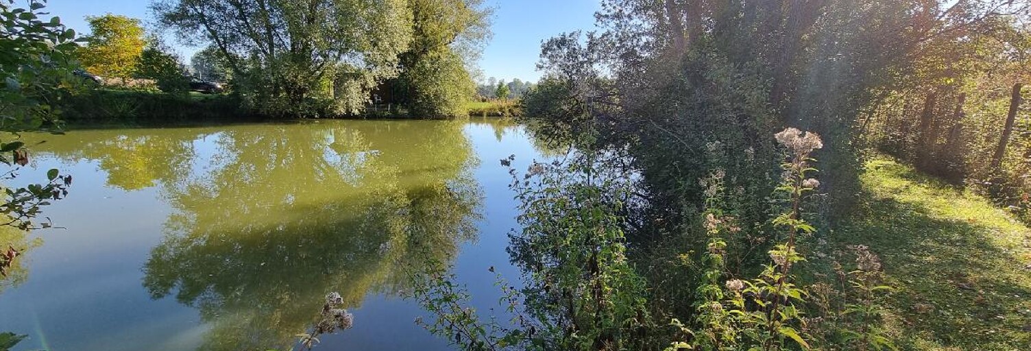 Terrain  6000 m² à vendre à Cuy (89140)
