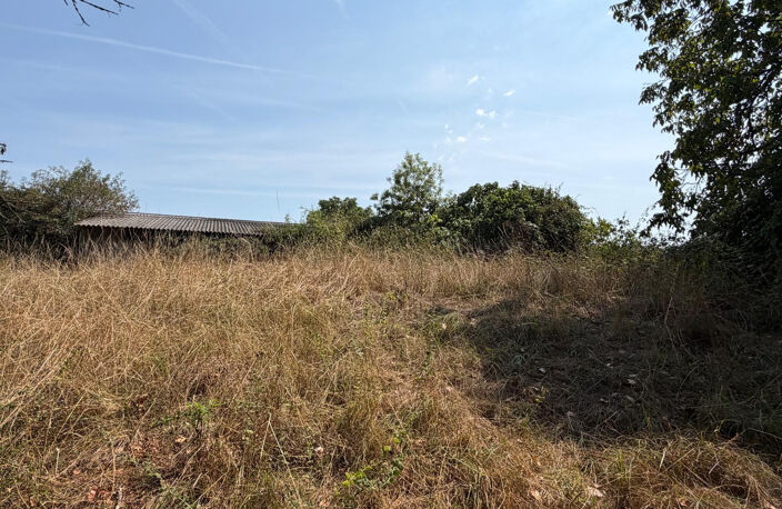 Bâtiment Agricole  900m2 — photo 5