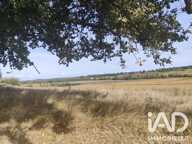 Vente Terrain à bâtir 4 817 m&sup2; — photo 4