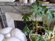 Vente Appartement 5 pièces — photo 3