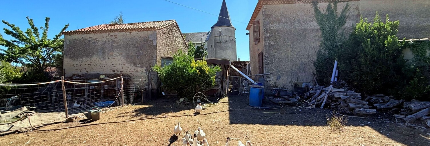 Photo N° 2