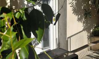 Maison 4 Pièces 63 m² à vendre à Saint-Georges-d'Orques (34680)